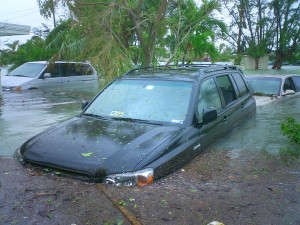 Affordable Hoarding Clean Up Service