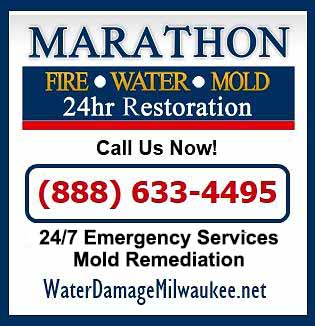 Mold Inspector Milwaukee