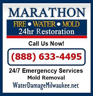 Mold Removal Waukesha WI